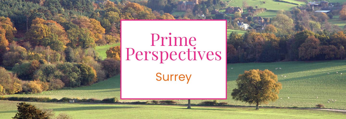 Prime Perspectives Surrey - Country hills
