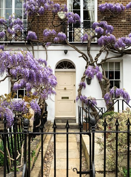 London House with flowers